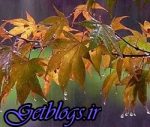 کشور عزیزمان ایران از شنبه بارانی می شود